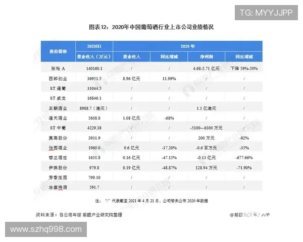 南京网球队实力分析：探寻其在全国网球界的竞争优势与发展潜力