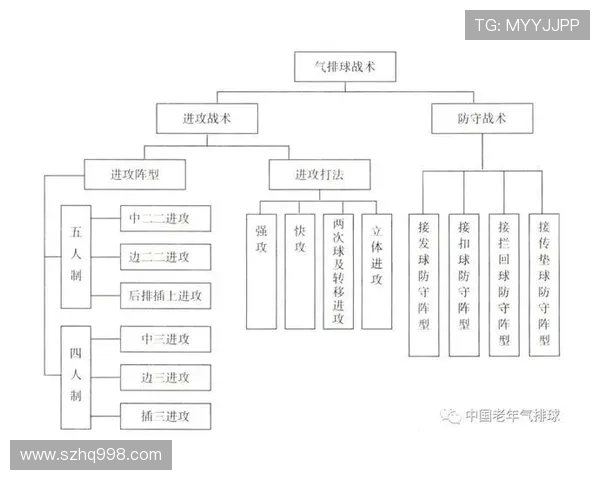 深圳排球队在挑战赛中的战术表现分析与点评探讨